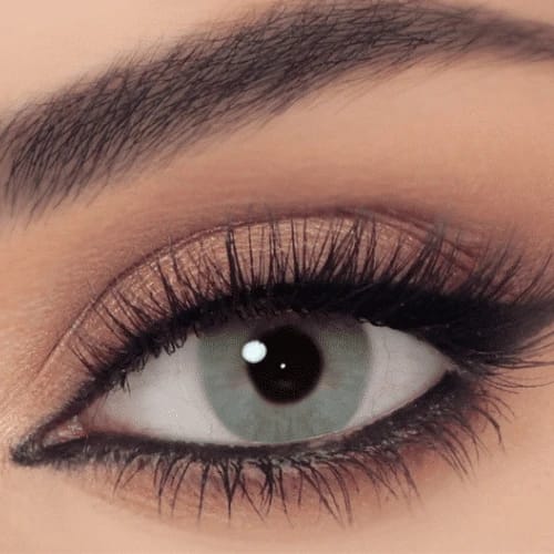 سيلينا اليومية – باسيل جراي