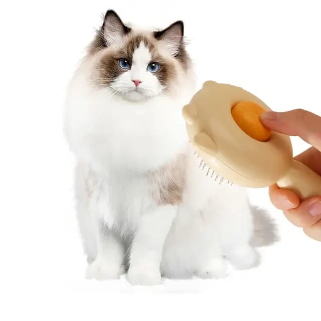 مشط كبسه