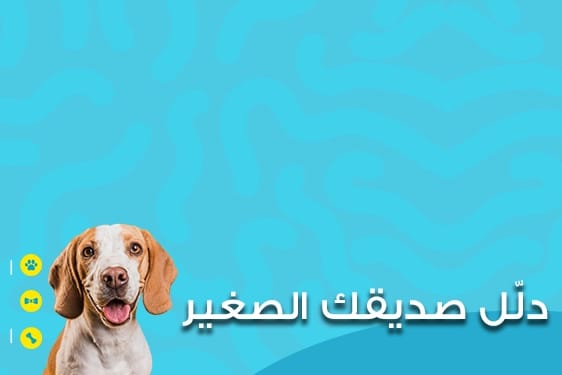 pets 2