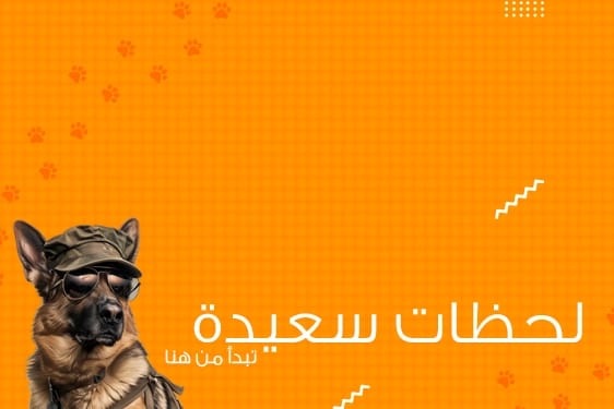 pets 3
