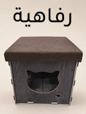 قطط